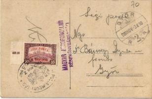 1920 Budapest XIII. Margitsziget a Margit híddal. Magyar Aeroforgalmi Részvénytársaság légi felvétel...