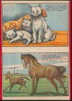 Kedves pajtásaink. Bp., é.n., Kellner Márkus. Kartonált, leporellós mesekönyv, jó állapotban