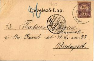 1901 Zólyombrézó, Podbrezová; Tiszti lakok és szálloda, iparvasút, vasgyár, vasútállomás / iron work...