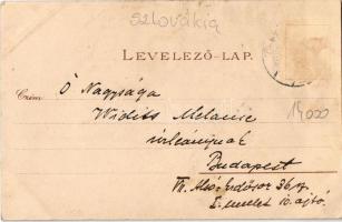 Puhó, Púchov; látkép templomokkal, zsinagógával és híddal, Puchó-Kocskóc vasútállomás, Deutschlander...