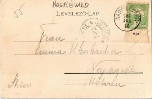 1906 Nagylévárd, Velké Leváre; Gróf Wenckheim kastély / castle (EK)