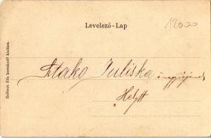 Marosvásárhely, Targu Mures; Bolyai utca, König Károly, Schmidt üzlete. Szecessziós litho keret. Kia...