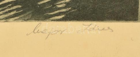 Major János (1934-2008): Japánkert a Margitszigeten. Rézkarc, papír, jelzett, üvegezett fa keretben,...