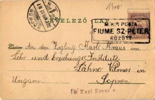 1901 Fiume, Rijeka; Kunstanstalt Karl Schwidernoch + "M. Kir. Posta Fiume Sz.-Péter között"...