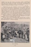 1914 A Világháború Képes Krónikája 1-12. füzet, kötéstáblával