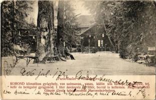 1906 Korond, Corund; parkrészlet a vendéglővel / park and restaurant (EK)