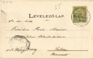 1902 Torda, Turda; Fő tér, Bernad Antal, Székely Testvérek, Gönczi József üzlete, Japán kávéház, pia...