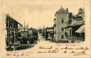 1901 Újtátrafüred, Neu-Schmecks, Novy Smokovec (Tátra, Magas Tátra, Vysoké Tatry); üzlet, kávéház, szálloda, nyaraló / shop, café, hotel, villa (EK)