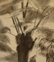 Bor Pál (1889-1982): Fatörzs 1921. Szén, papír (restaurált), jelzett,32×18 cm