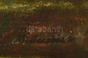 Barabás jelzéssel: Áradó patak. Olaj, vászon (lyukas), 30×40 cm