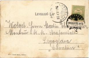 1905 Budapest I. Királyi vár kertje. Divald Károly 376. sz. (EK)