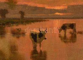 Jakab Károly (1904-1994): Ártéri tehenek alkonyatkor. Olaj, vászon, jelzett,  blondel keretben, 40×5...
