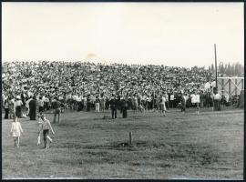 1947-1977 Magyar Szocialista Munkáspárt és a Magyar Kommunista Párt levele, pártnap előadói jelentés...