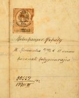 1891 Holczhauer Mihály Bp. IX. Márton u. 11. sz. alatti házának helyszínrajza, tervrajz, okmánybélye...