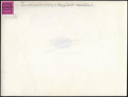 Ágyúk szemléje a Tanácsköztársaság idején, fotó, későbbi nagyítás, hátulján feliratozva, 23,5×18 cm