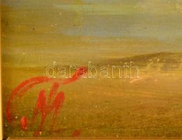 Méhész Tamás (1940-): Kikötés. Olaj, farost, jelzett, keretben, 13×18 cm