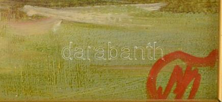 Méhész Tamás (1940-): Vitorlás. Olaj, farost, jelzett, keretben, 13×18 cm