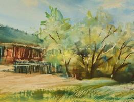 Szántó Dezső (1958-): Kerti házikó. Olaj, farost, jelzett, keretben, 35×45 cm