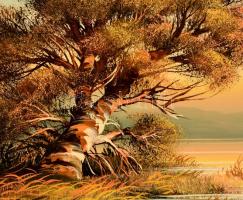 Pankotai Sándor (1959-): Dombok a távolba. Olaj, farost, jelzett, keretben, 20×35 cm