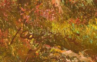 Kafieri jelzéssel: Nyári hangulat. Olaj, vászon, keretben, 41×53 cm