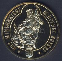 1996. "Csepeli Tűzoltó Egyesület" aranyozott emlékérem T:PP