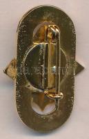 ~1960. "Testnevelés és Sport Érdemes Dolgozója" aranyozott, zománcozott fém jelvény eredet...