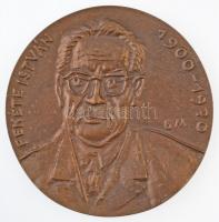 Borsos Miklós (1906-1990) DN "Fekete István 1900-1970 / Szeretem a könyvet és hiszek benne" kétoldalas, öntött Br plakett (89,5mm) T:2