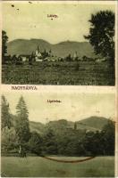 1916 Nagybánya, Baia Mare; látkép, liget. Kiadja Kovács Gyula / general view, park (fl)