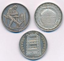 Csúcs Viktória (1934-) DN "Hollóháza, Hódmezővásárhely, Sárköz" ezüstözött fém emlékérem s...