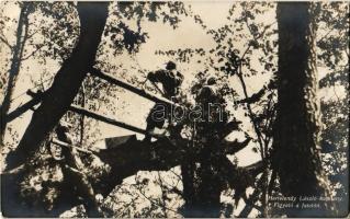 Figyelő a fatetőn. Hertelendy László kapitány felvétele. Hadifénykép Kiállítás / WWI Austro-Hungarian K.u.K. military observers on the treetops (EK)