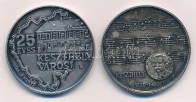 Képíró Zoltán (1944-1981) 1979. MÉE "25 éves Keszthely város" ezüstpatinázott Br (42,5mm) ...