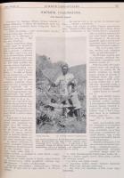 1934 Nimród vadászújság. A Nemzeti Vadászati Védegylet hivatalos lapja. XXII. évf. 1-36 sz. 1934-es ...