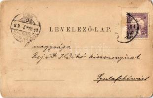 1899 Vajdahunyad, Hunedoara; vár. Kiadja a hunyadmegyei történelmi és régészeti társulat Déván / Cet...