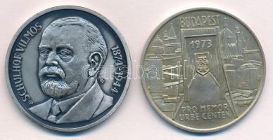 Képíró Zoltán (1944-1981) 1981. "MÉE-Keszthely Hévíz / Dr. Schulhof Vilmos" ezüstpatinázot...