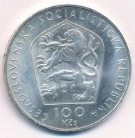 Csehszlovákia 1976. 100K Ag "Viktor Kaplan születésének 100. évfordulója" T:1- 
Czechoslo...