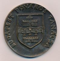 DN "Budapesti Művészeti Hetek / Budapest Főváros Tanácsa" Br emlékérem (68mm) T:2-