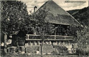 Schwarzwald, Schwarzwaldhaus / Black Forest house