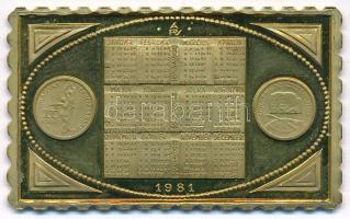 1981. Naptár / Űrrepülés sárgaréz bélyegérem (22x37mm) T:1