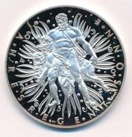 Ausztria 1997. "Naptárérem" Ag emlékérem eredeti tokban (26,36g/0.900/40mm) T:PP patina
A...