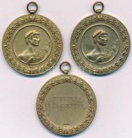 Berán Nándor (1889-1965) DN "Kegyesrendi Gimnázium" kétoldalas aranyozott Br (3x) emlékére...