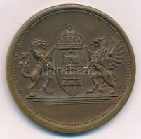 1935. "Budapest Sport Egyesület versenydíja" kétoldalas Br díjérem (40mmm) T:1-