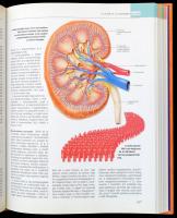 A csodálatos emberi test.  Reader's Digest Kiadó Kft. 1996 . Kiadói kartonálásban