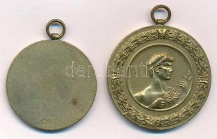Berán Nándor (1889-1965) DN "Kegyesrendi Gimnázium" (2xklf) aranyozott Br emlékérem füllel...