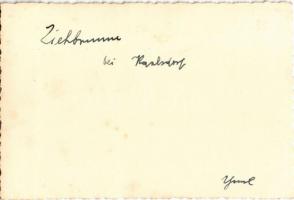 1941 Nagykárolyfalva, Károlyfalva, Karlsdorf, Banatski Karlovac; Ziehbrunnen / gémeskút / draw well,...