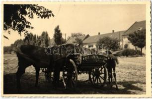 1941 Nagykárolyfalva, Károlyfalva, Karlsdorf, Banatski Karlovac; Wagen / szénás szekér lovakkal / hay wagon with horses. photo