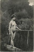 Vintage erotic nude lady. Künstler Akt-Studie (non PC)