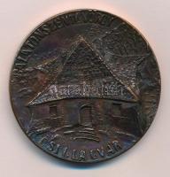 1981. "Balatonszentgyörgy-Csillagvár / Keszthelyi Éremgyűjtő Csoport" kétoldalas Br emléké...