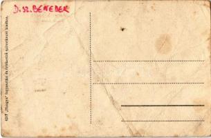 Dunaszentbenedek, községháza  (fa)