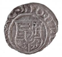 1550K-B Denár Ag "I. Ferdinánd" (0,38g) T:2
Hungary 1550K-B Denar Ag "Ferdinand I&qu...