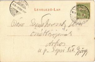 1905 Medgyes, Mediasch, Medias; Ehem. Zekescher Thor / torony, kapu. Kiadja Fritz Guggenberger / tow...